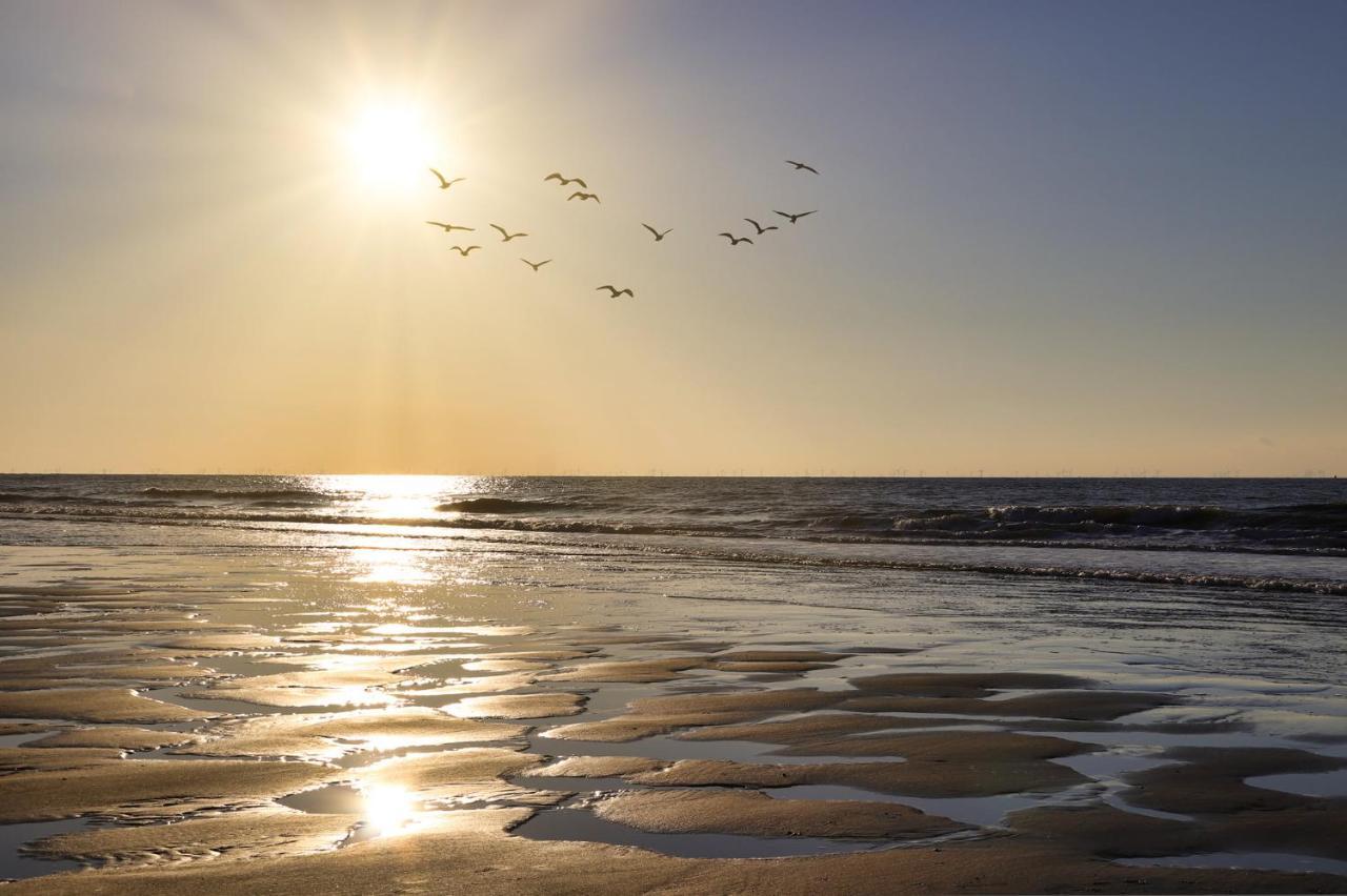 Westerschelde B&B Флиссинген Экстерьер фото